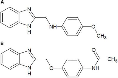 The Benzimidazole Derivatives, B1 (N-[(1H-Benzimidazol-2-yl)Methyl]-4-Methoxyaniline) and B8 (N-{4-[(1H-Benzimidazol-2-yl)Methoxy]Phenyl}Acetamide) Attenuate Morphine-Induced Paradoxical Pain in Mice